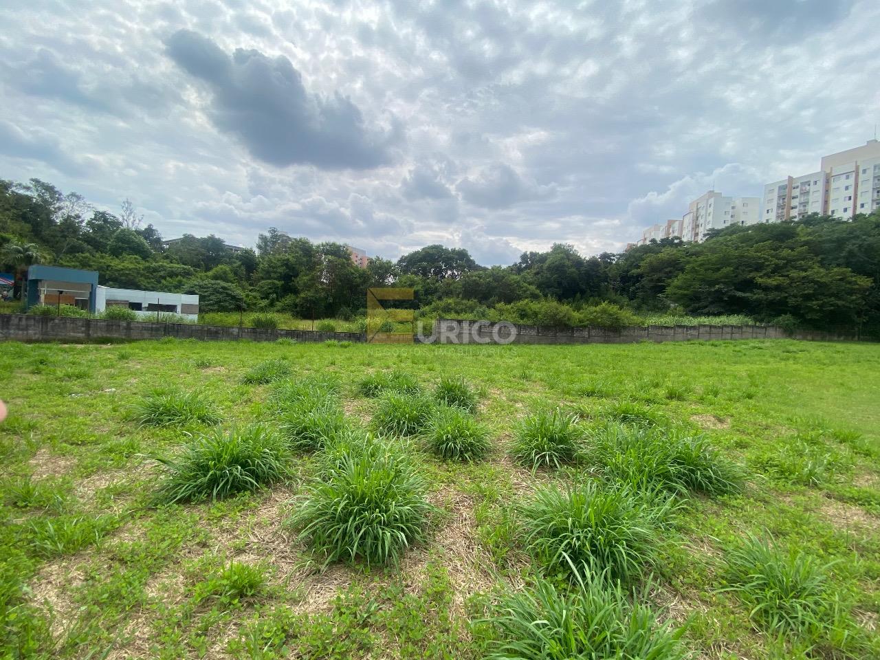 Terreno para aluguel no Parque Nova Suíça em Valinhos/SP: 