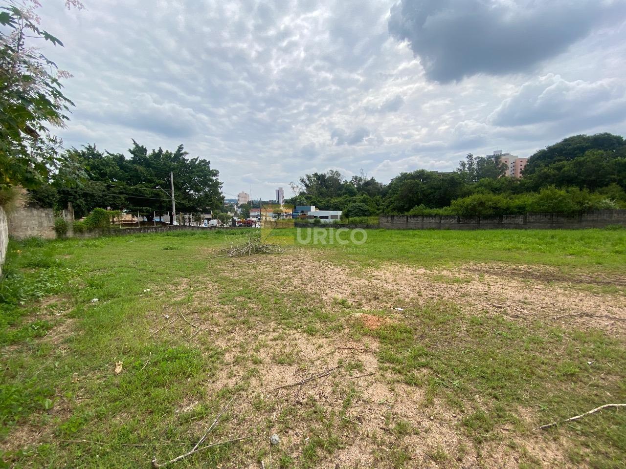 Terreno para aluguel no Parque Nova Suíça em Valinhos/SP: 