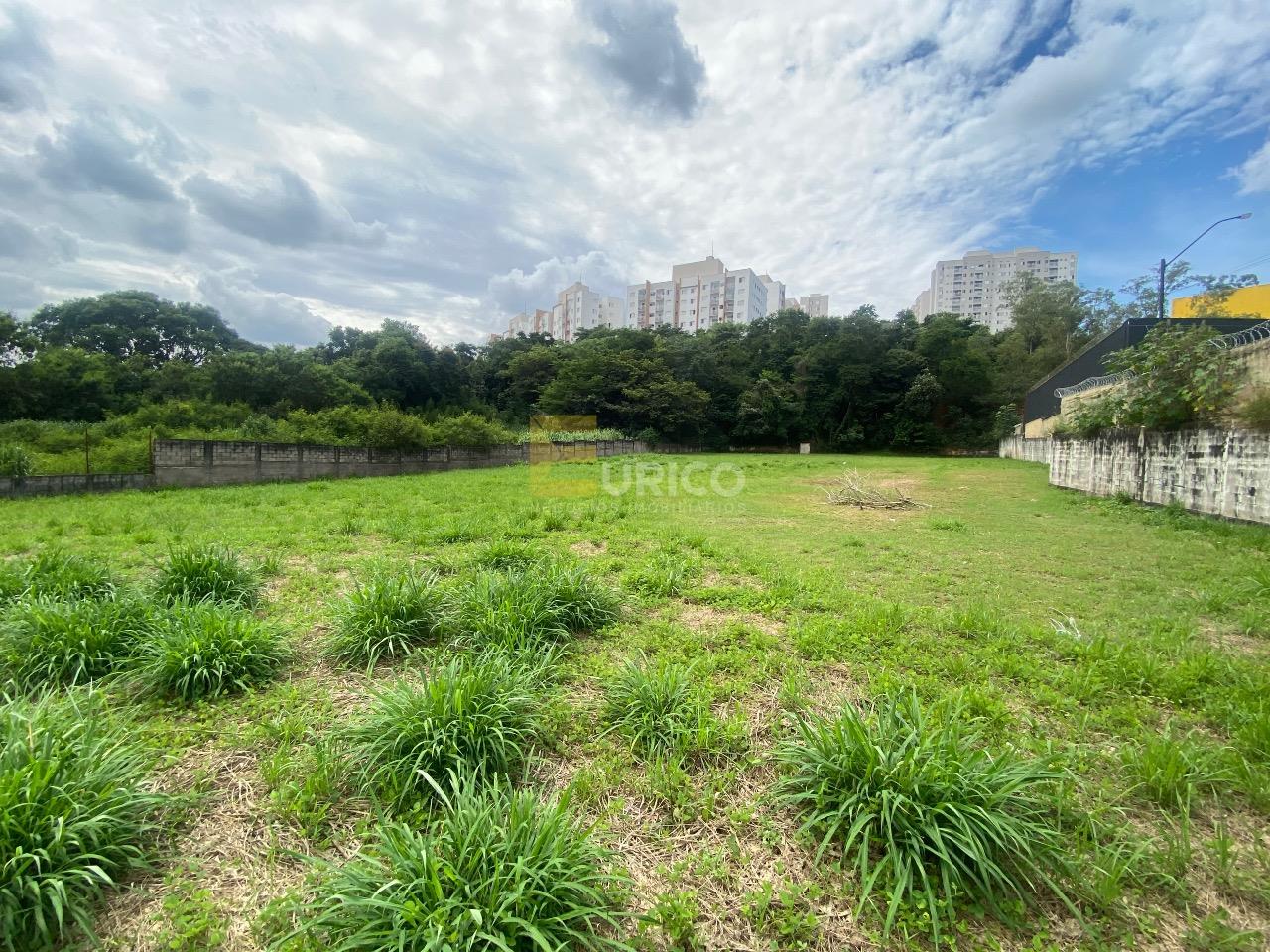 Terreno para aluguel no Parque Nova Suíça em Valinhos/SP: 