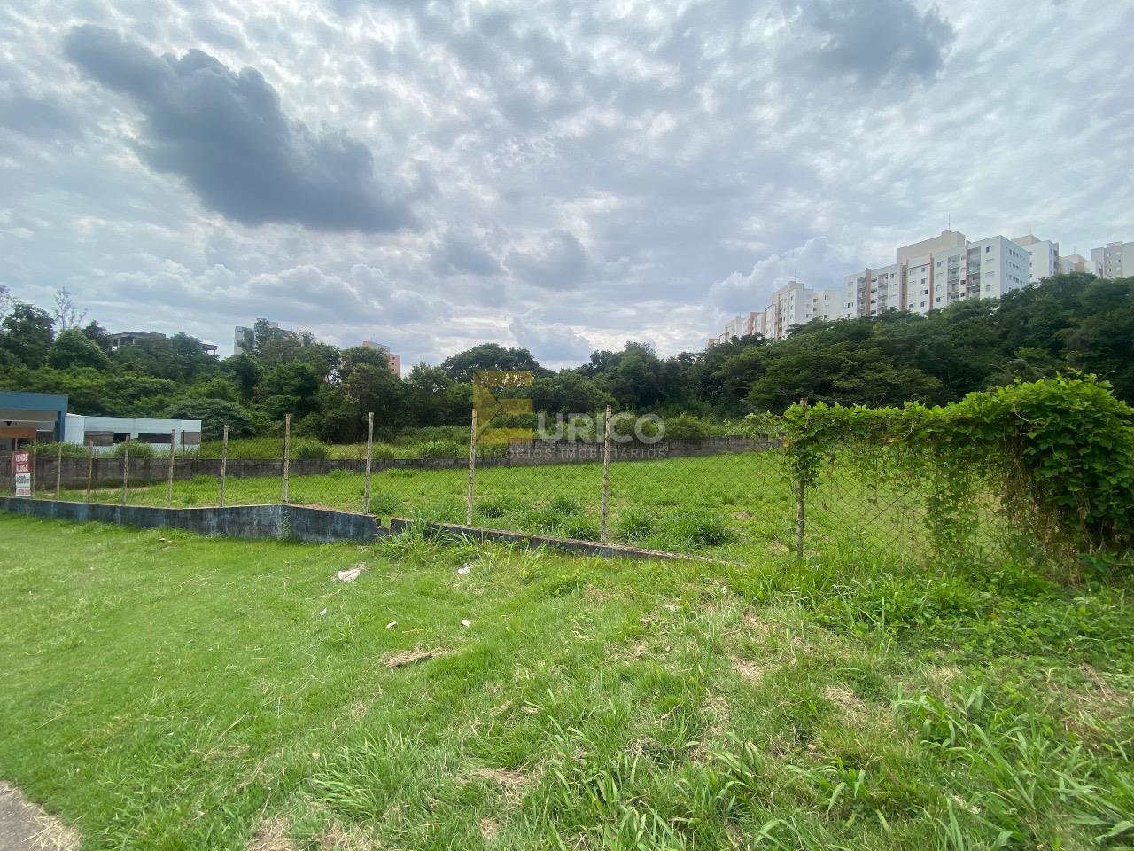 Terreno para aluguel no Parque Nova Suíça em Valinhos/SP: 