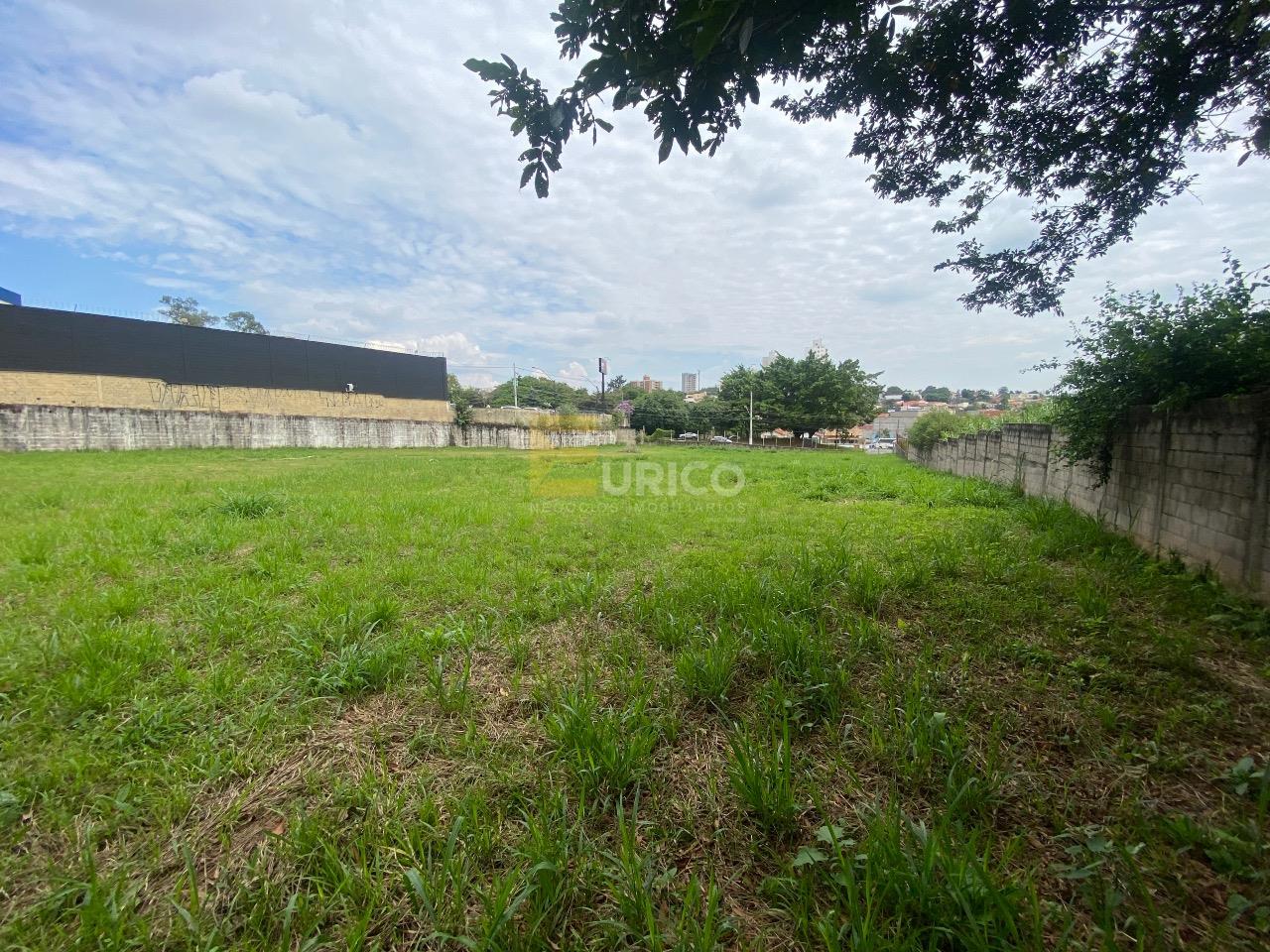 Terreno para aluguel no Parque Nova Suíça em Valinhos/SP: 