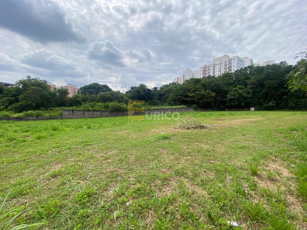 Terreno para aluguel no Parque Nova Suíça em Valinhos/SP: 