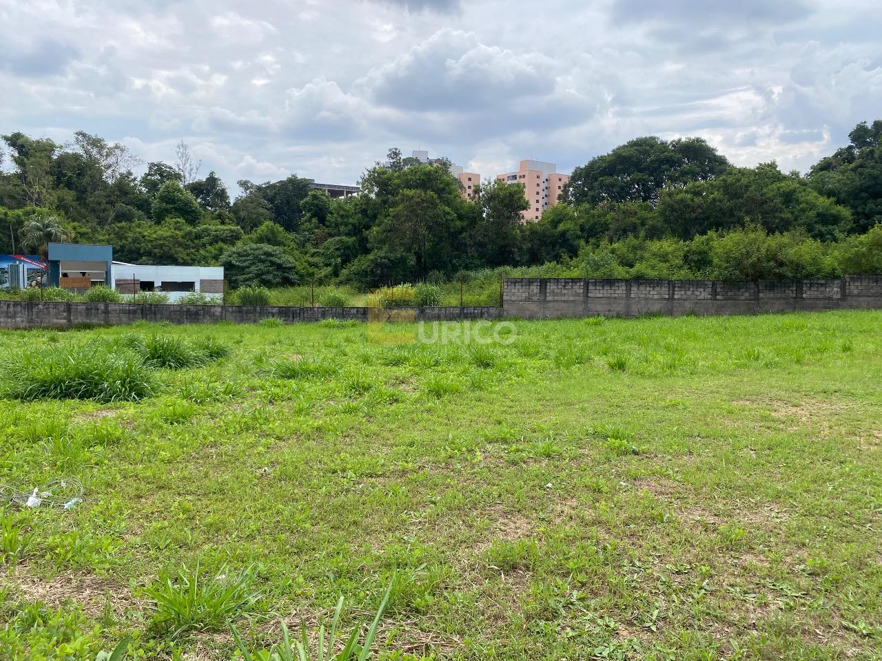 Terreno para aluguel no Parque Nova Suíça em Valinhos/SP: 