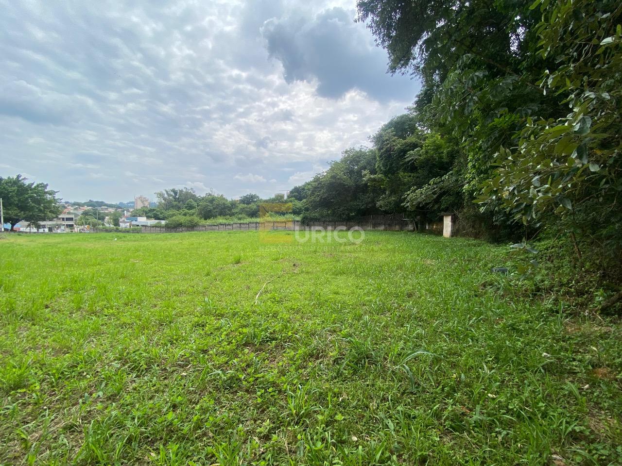 Terreno para aluguel no Parque Nova Suíça em Valinhos/SP: 