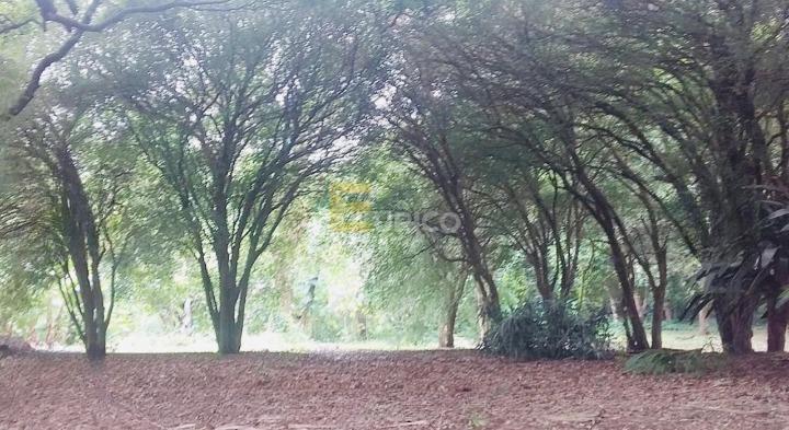 Casa à venda no Jardim Europa em Paulínia/SP: 