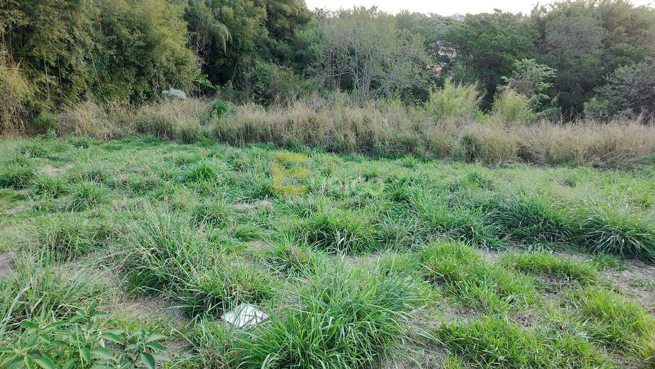 Terreno à venda no Pinheirinho em Vinhedo/SP: 