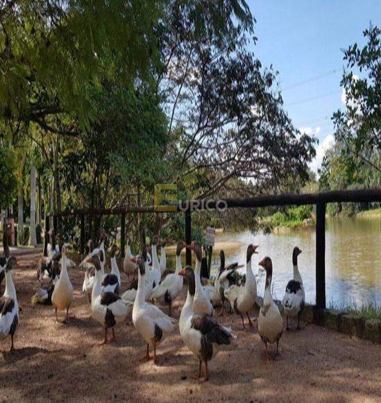 Terreno em Condomínio à venda no Condomínio Clube de Campo Valinhos em Valinhos/SP: