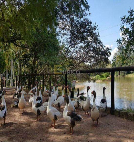 Terreno em Condomínio à venda no Condomínio Clube de Campo Valinhos em Valinhos/SP: 