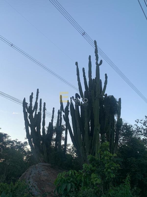 Terreno em Condomínio à venda no Condomínio Clube de Campo Valinhos em Valinhos/SP: 