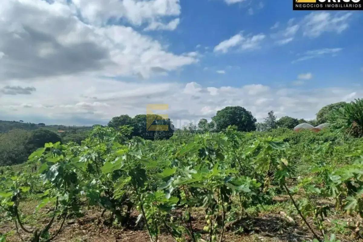 Terreno à venda no Macuco em Valinhos/SP: 