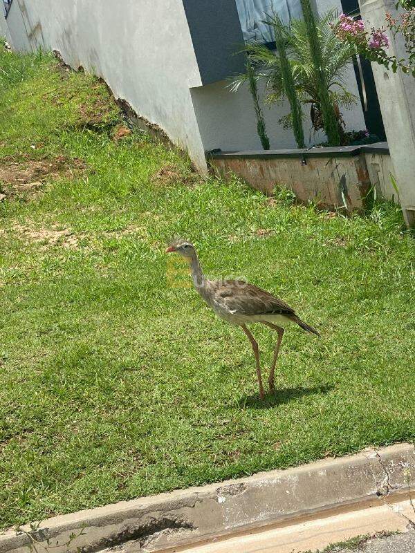 Casa em condomínio à venda no Condomínio Residencial Phytus em Itupeva/SP: 