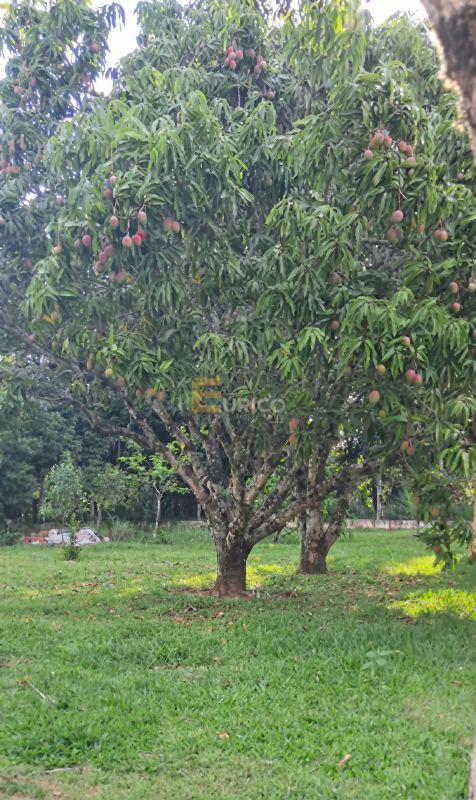 Chácara à venda no Guacuri em Itupeva/SP: 