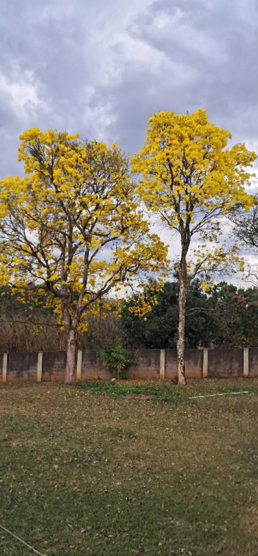 Chácara à venda no Guacuri em Itupeva/SP: 