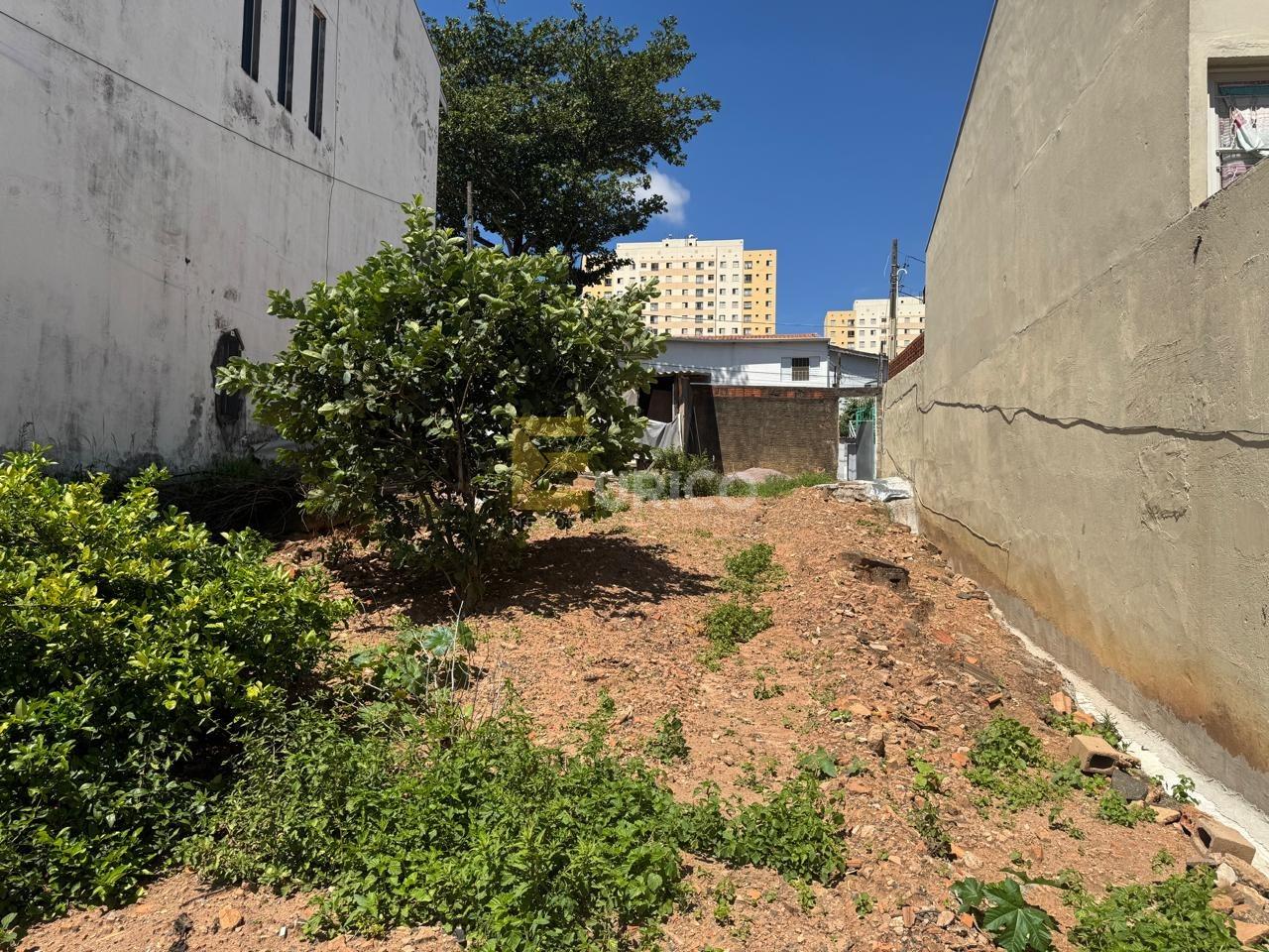 Terreno à venda no Jardim Cura D’Ars em Campinas/SP: 
