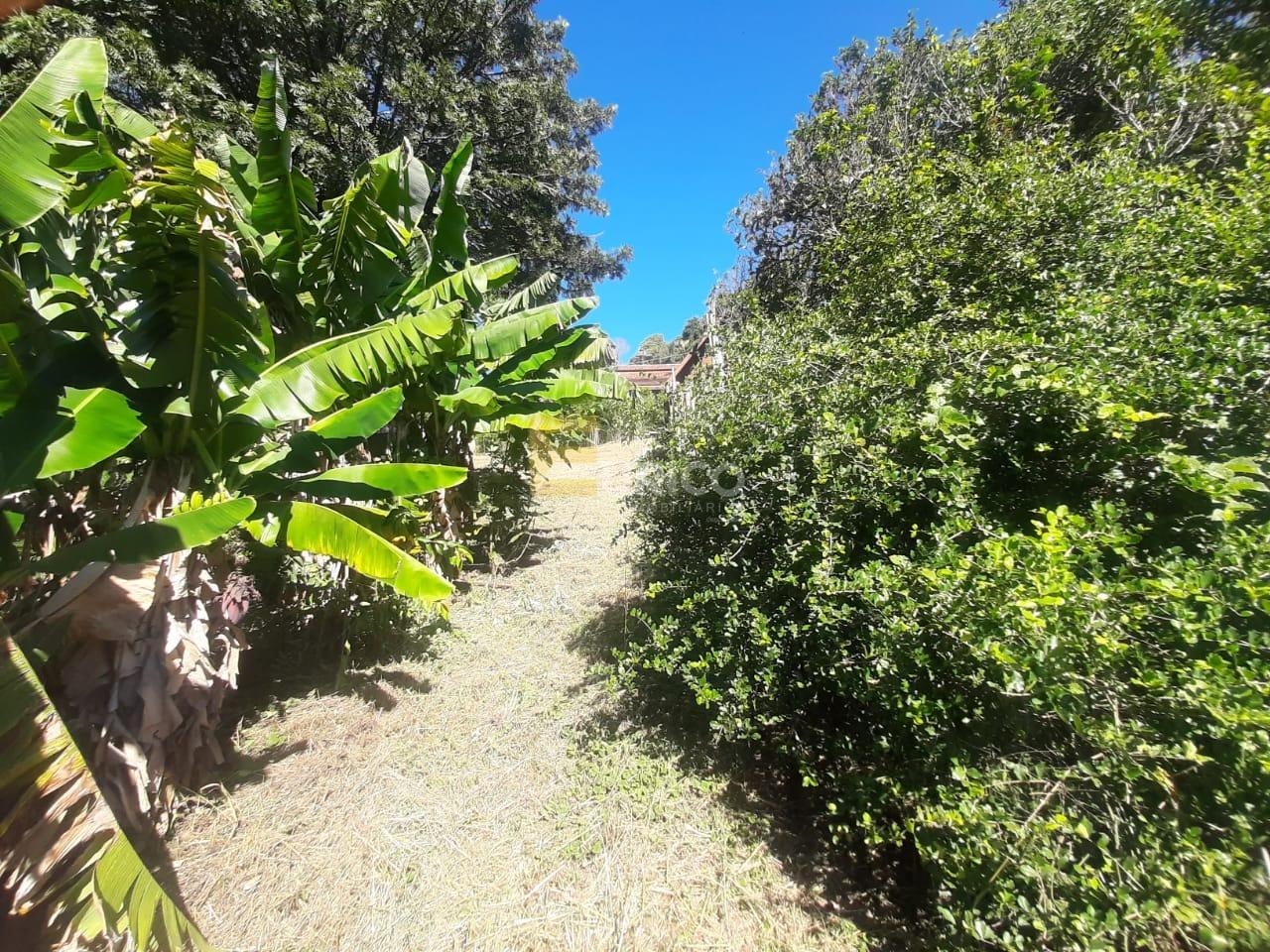 Terreno à venda no Altos do Morumbi em Vinhedo/SP: 