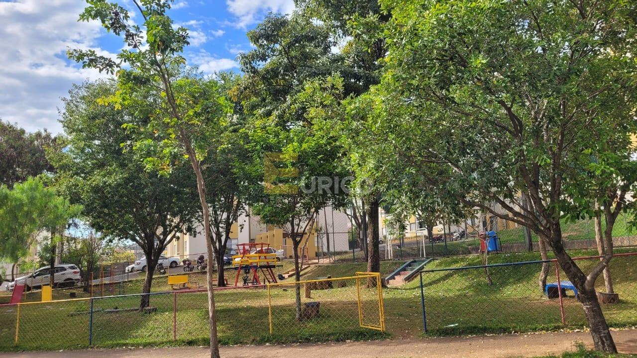 Apartamento à venda no Condomínio Residencial Parque dos Pássaros em Valinhos/SP: 