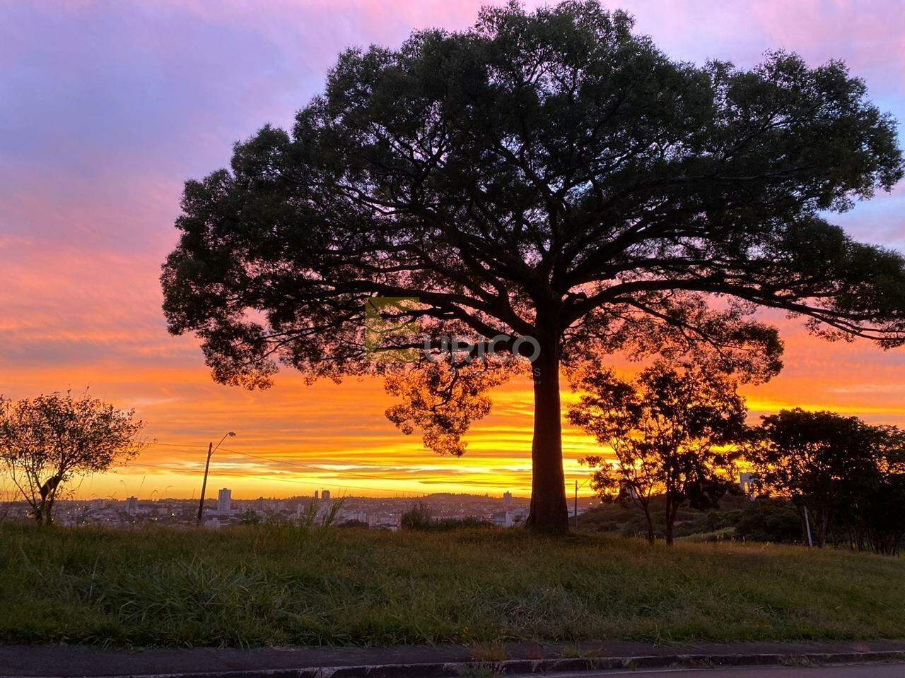 Casa em condomínio à venda no Condomínio Portal do Jequitibá em Valinhos/SP: 