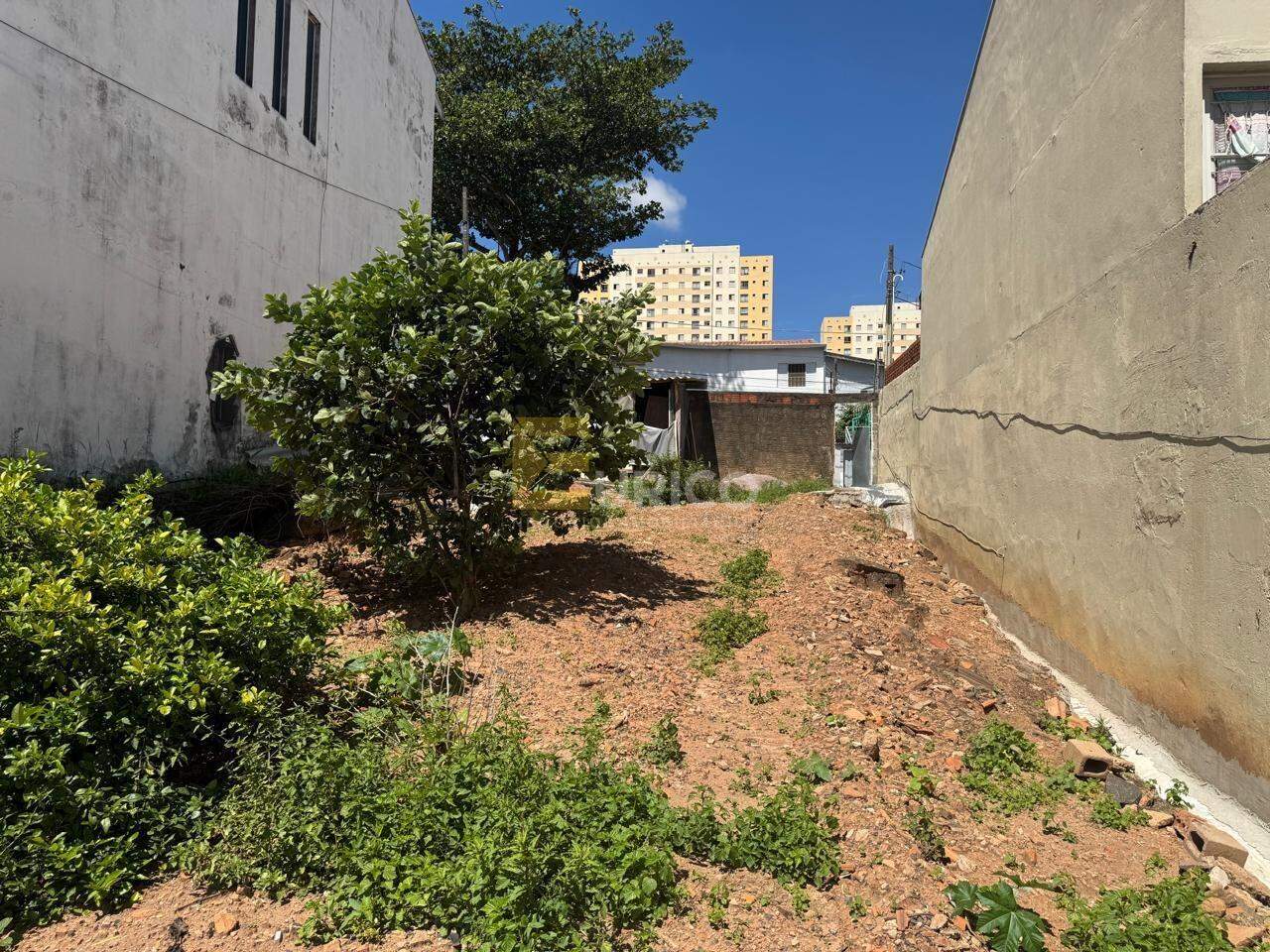 Terreno à venda no Jardim Cura D’Ars em Campinas/SP: 