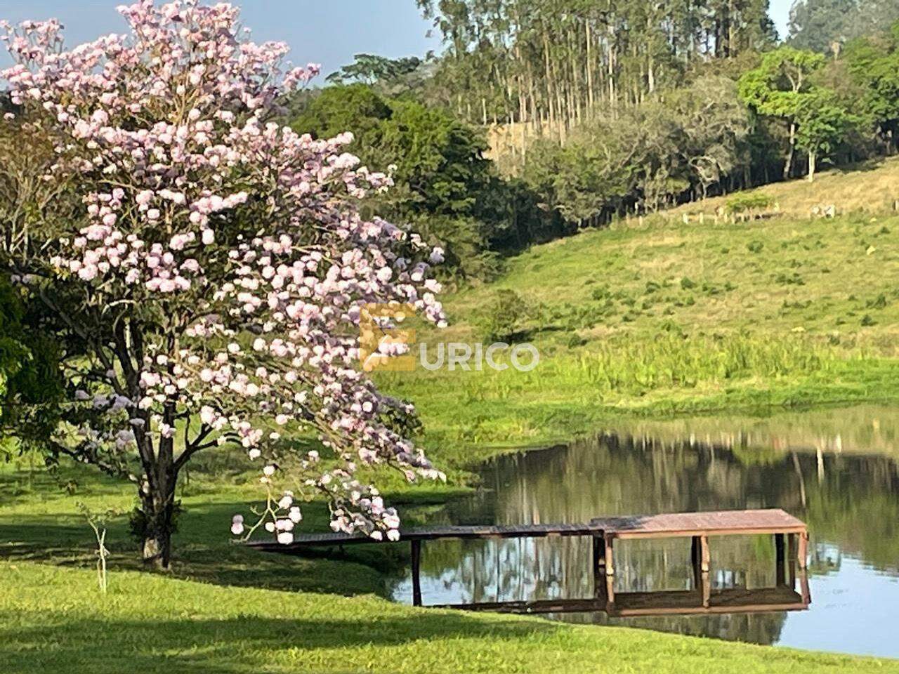 Sítio à venda no Área Rural de Iperó em Iperó/SP: 