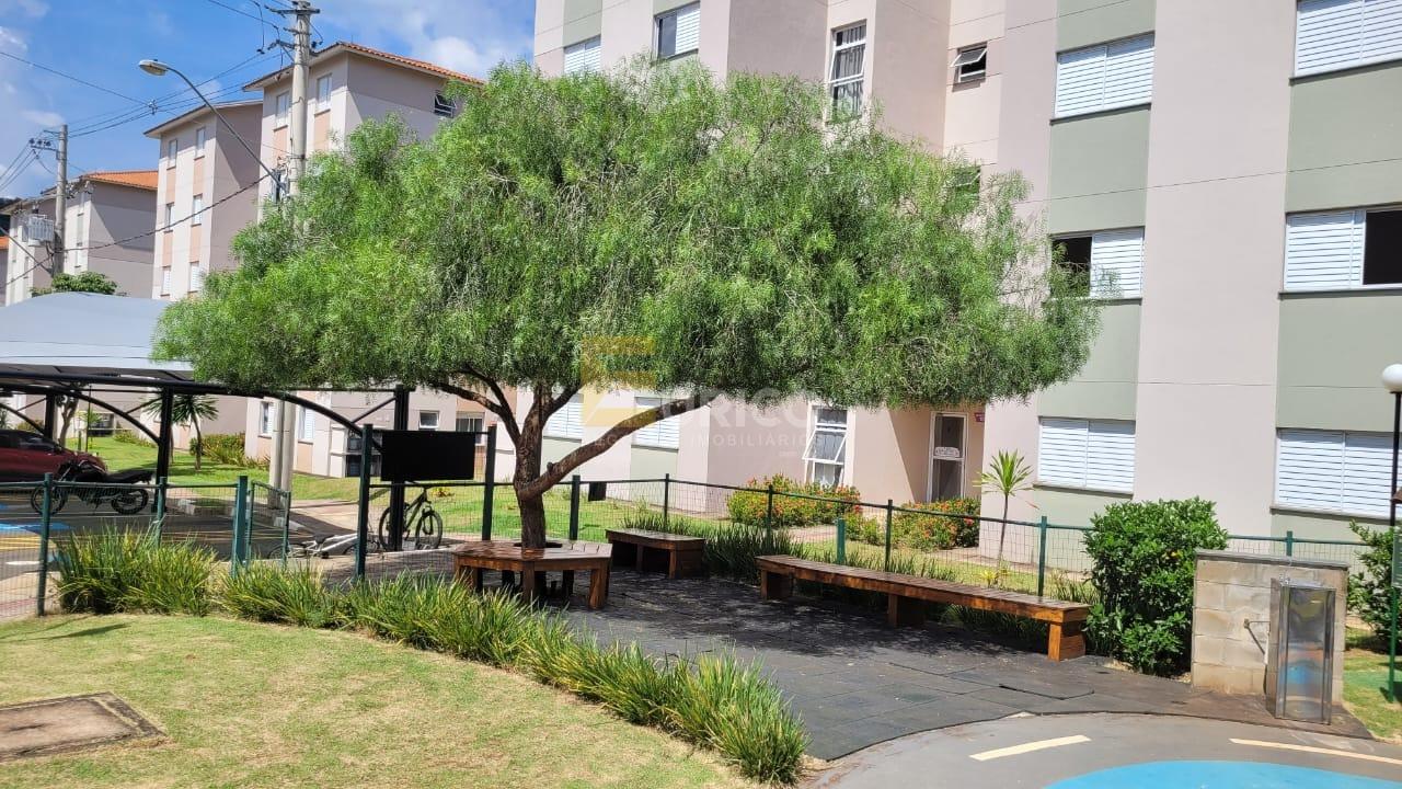 Apartamento à venda no Condomínio Residencial Colibri em Valinhos/SP: 
