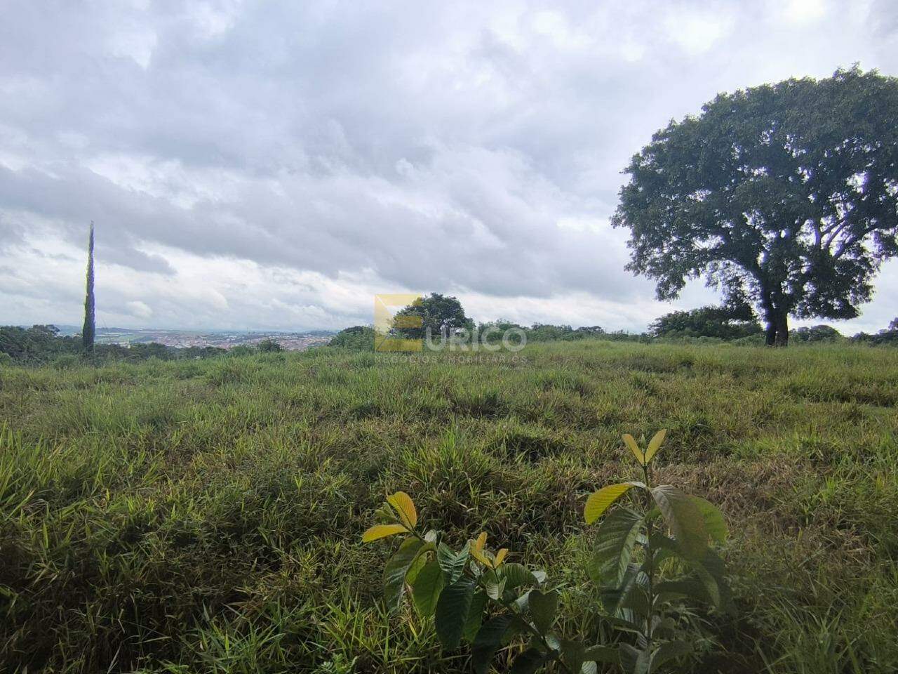 Terreno à venda no Vista Alegre em Vinhedo/SP: 