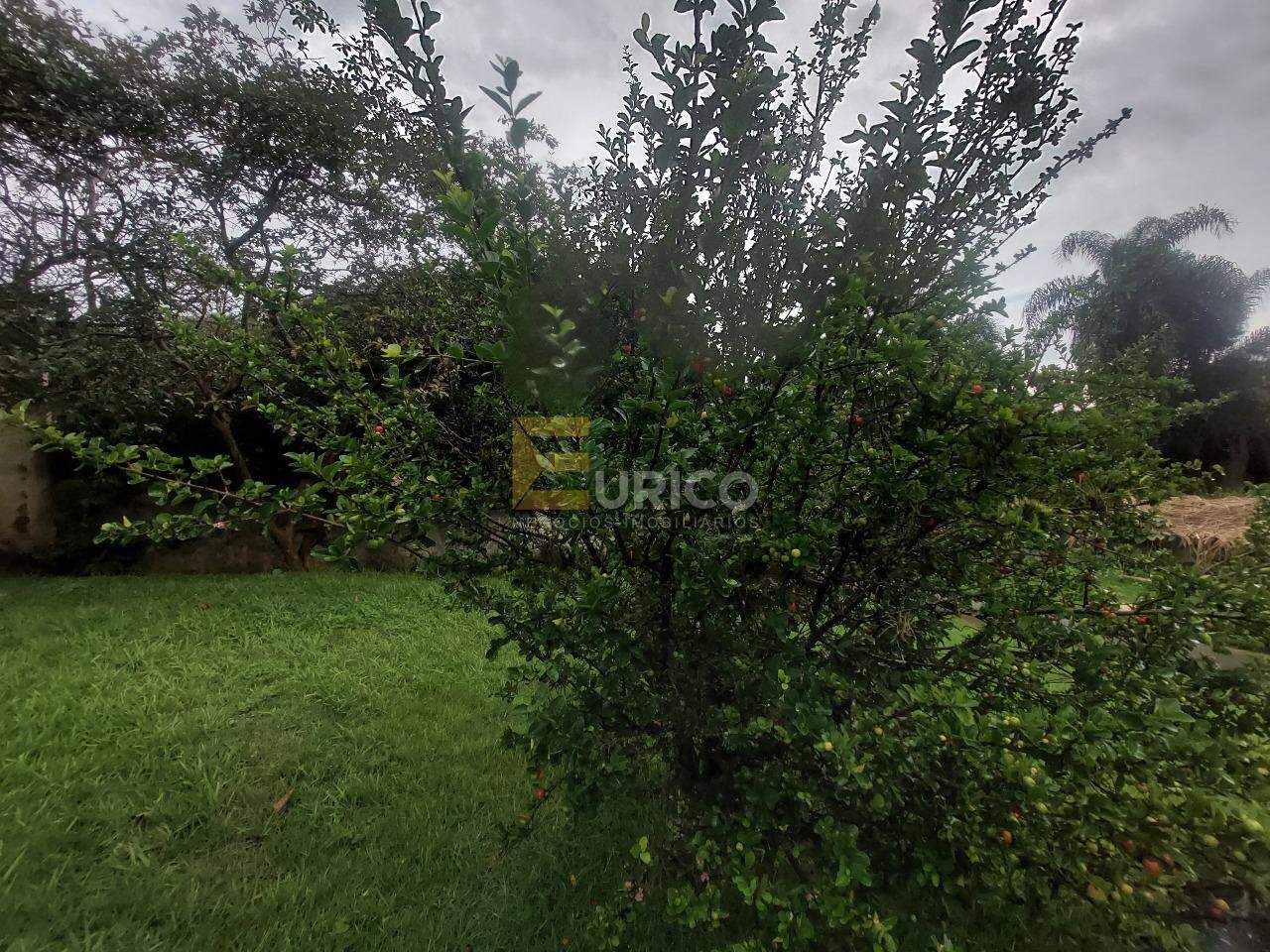 Casa para aluguel no Joapiranga em Valinhos/SP: 