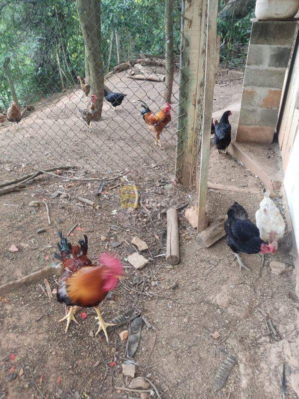 Chácara à venda no Vale Verde em Valinhos/SP: 