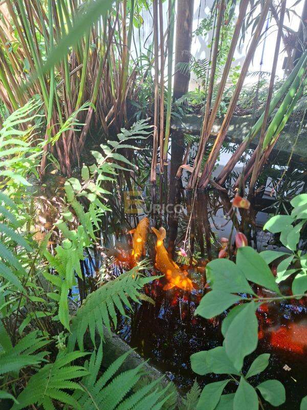 Chácara à venda no Vale Verde em Valinhos/SP: 