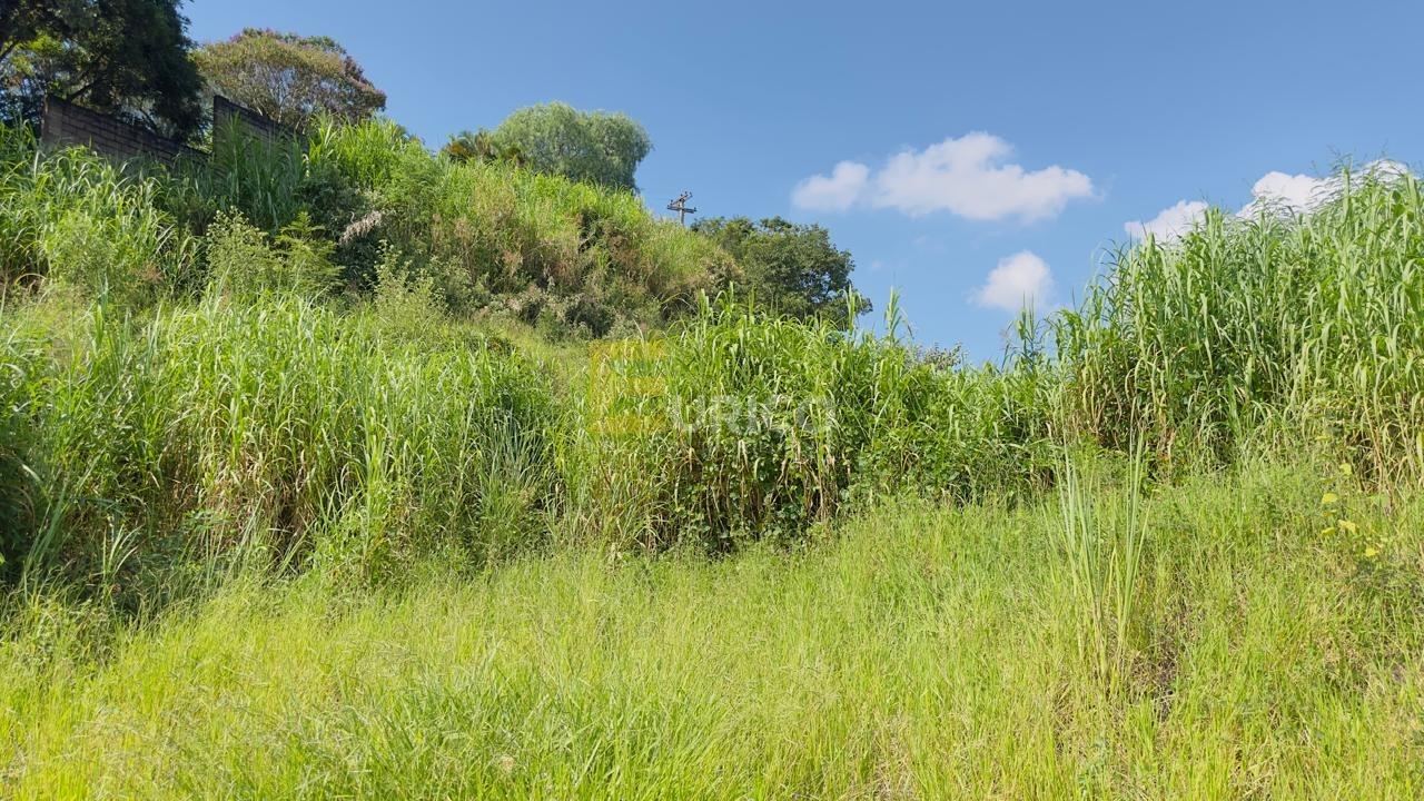 Terreno à venda no PARQUE DOS COCAIS em Valinhos/SP: