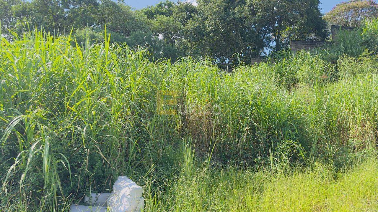 Terreno à venda no PARQUE DOS COCAIS em Valinhos/SP: 