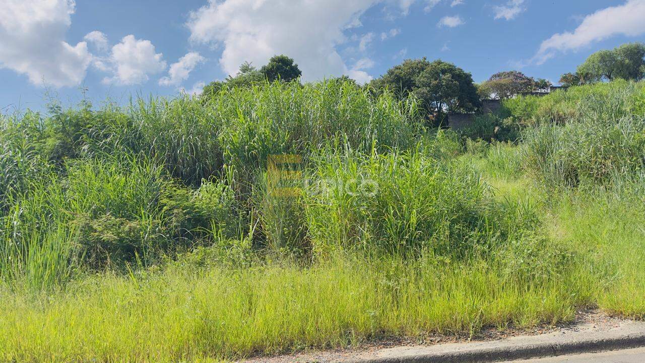 Terreno à venda no PARQUE DOS COCAIS em Valinhos/SP: 