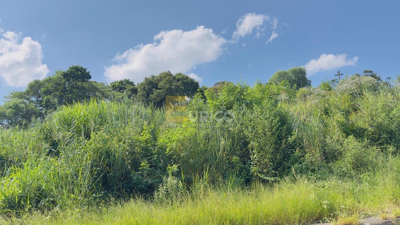 Terreno à venda no PARQUE DOS COCAIS em Valinhos/SP: 