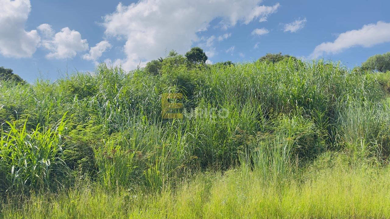 Terreno à venda no PARQUE DOS COCAIS em Valinhos/SP: 