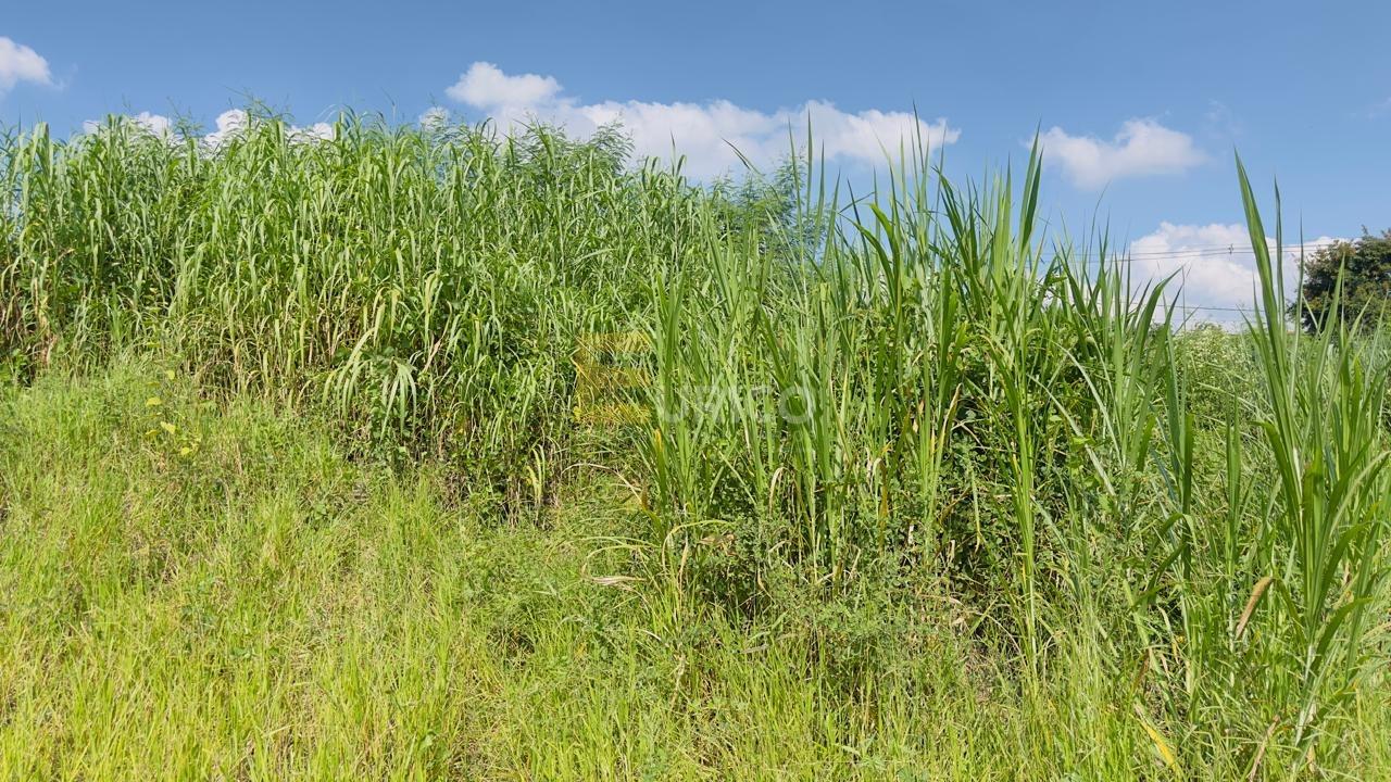 Terreno à venda no PARQUE DOS COCAIS em Valinhos/SP: 
