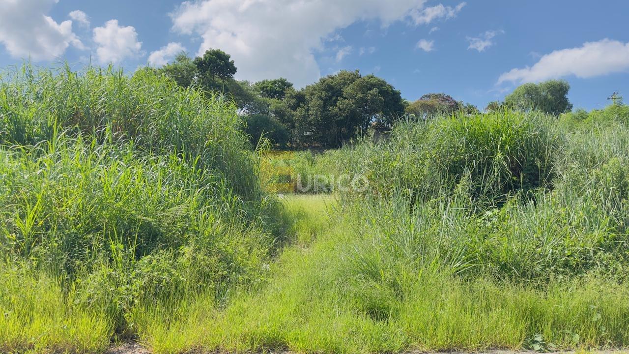 Terreno à venda no PARQUE DOS COCAIS em Valinhos/SP: