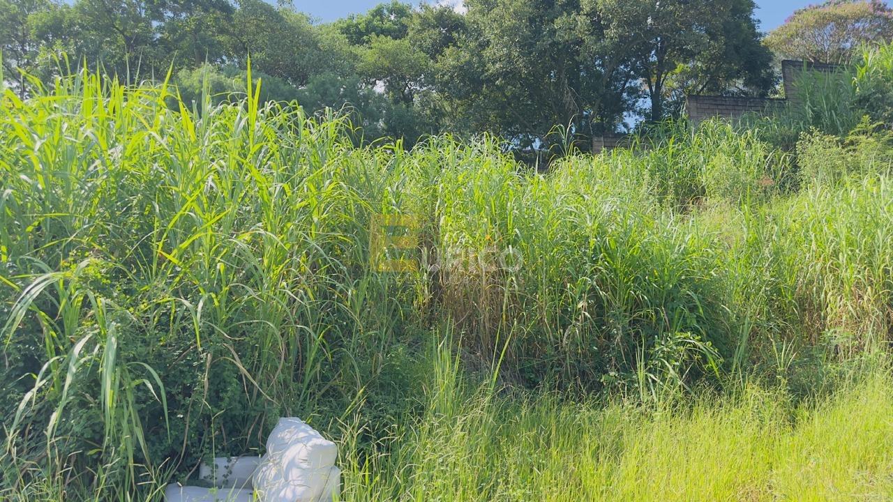 Terreno à venda no PARQUE DOS COCAIS em Valinhos/SP: 