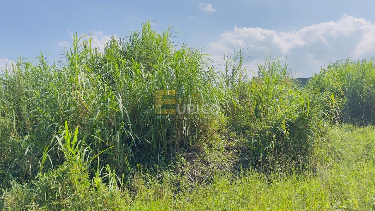 Terreno à venda no PARQUE DOS COCAIS em Valinhos/SP: 