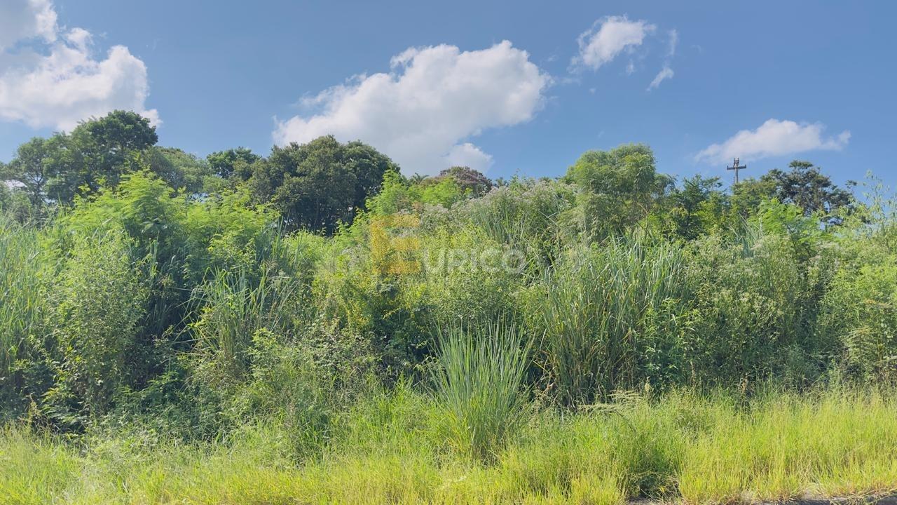 Terreno à venda no PARQUE DOS COCAIS em Valinhos/SP: