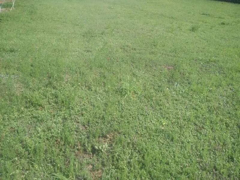 Terreno à venda no Chácara Fim de Semana em Vinhedo/SP: 