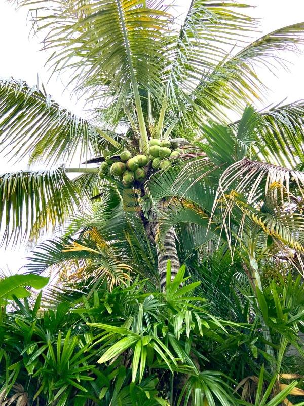 Casa à venda no PARQUE TERRANOVA em Valinhos/SP: 