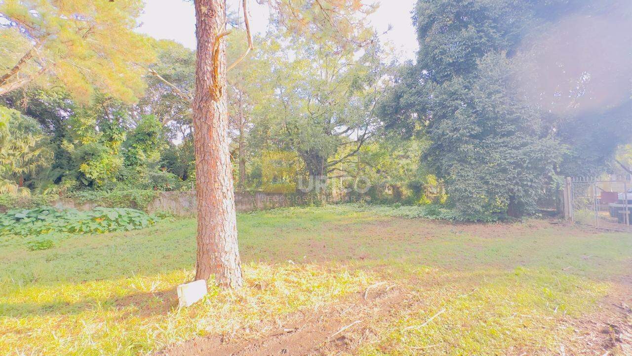 Terreno à venda no CHÁCARAS SÃO BENTO em Valinhos/SP: 