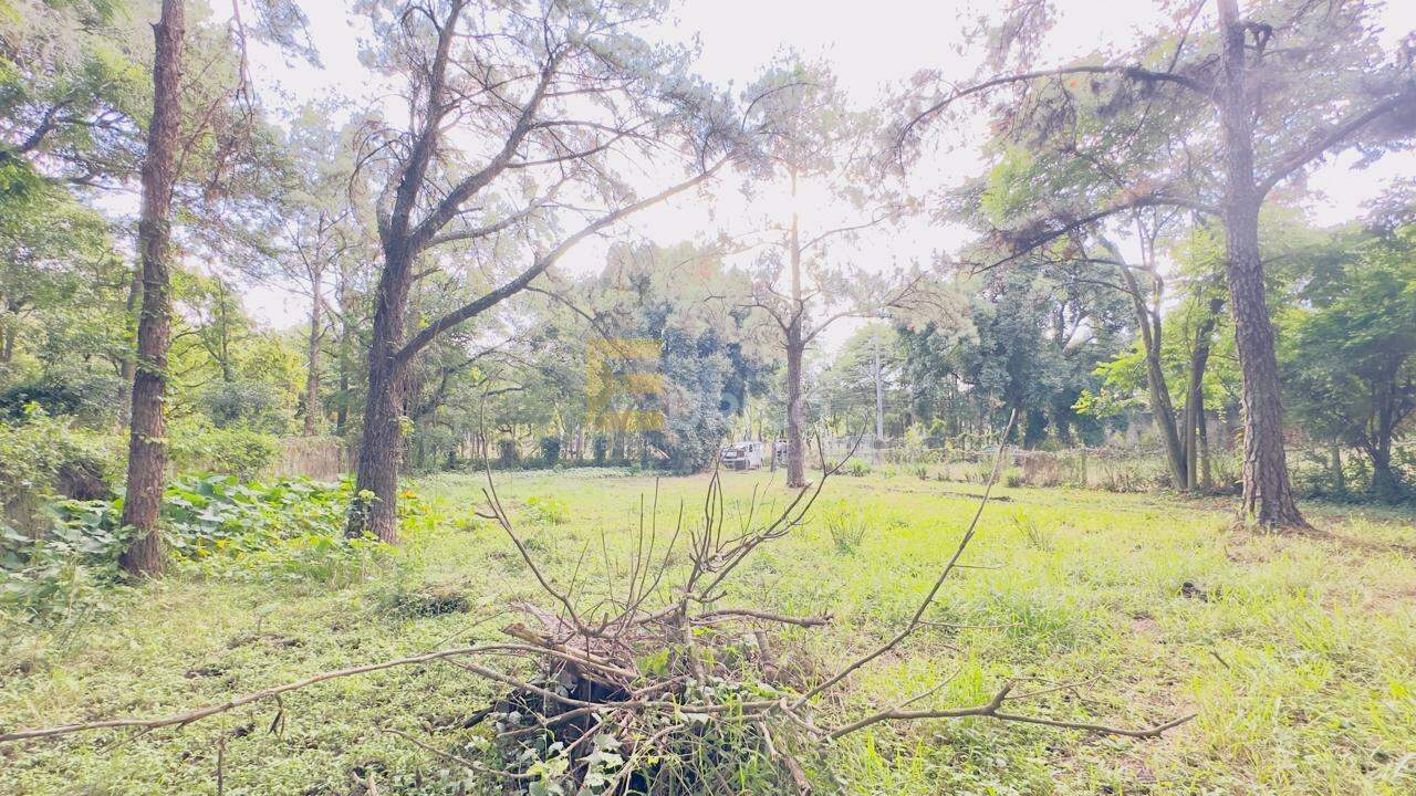 Terreno à venda no CHÁCARAS SÃO BENTO em Valinhos/SP: 