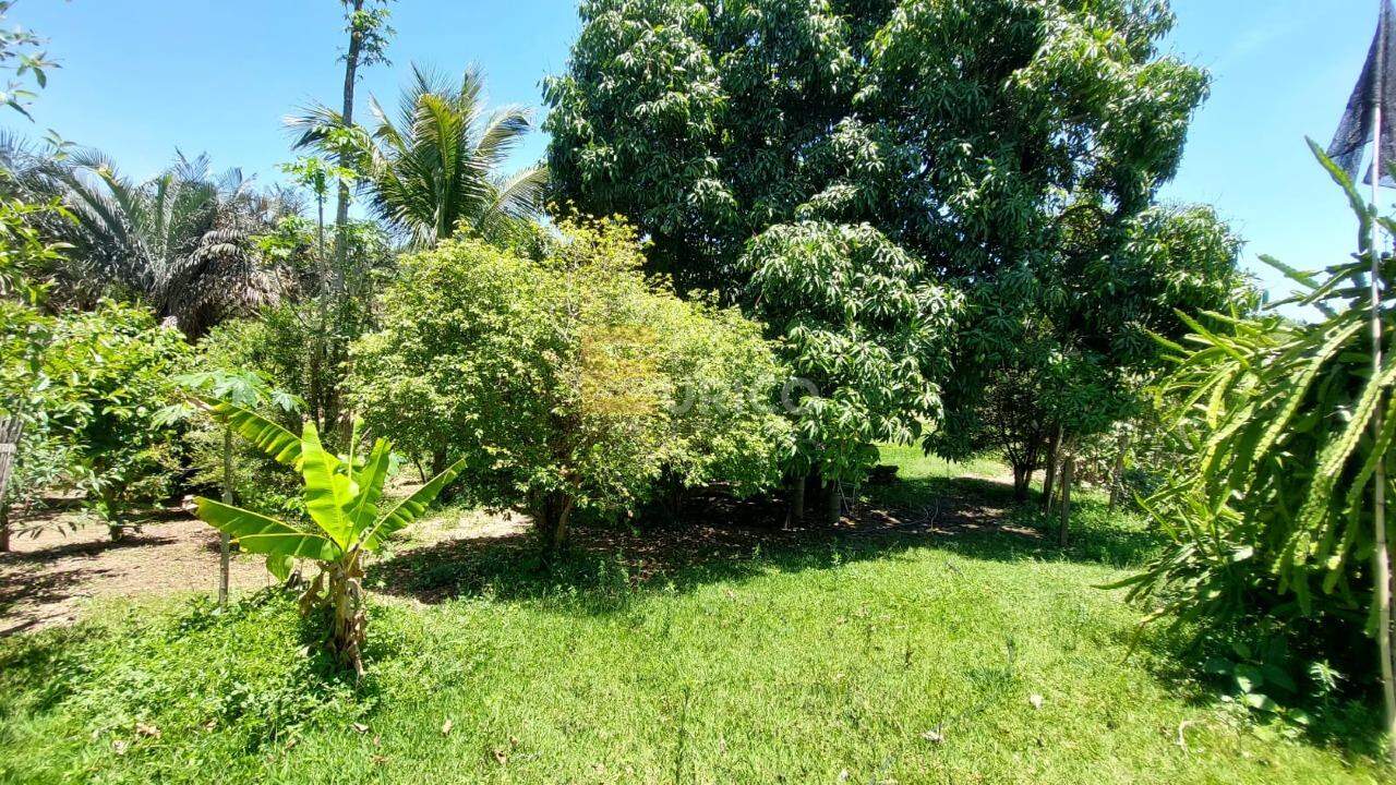 Chácara à venda no Monte Alegre em Vinhedo/SP: 