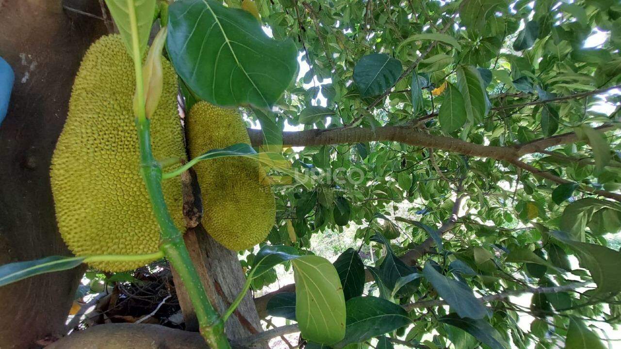 Chácara à venda no Monte Alegre em Vinhedo/SP: 