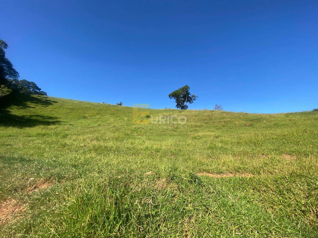 Terreno à venda no Caixa D´água em Vinhedo/SP: 