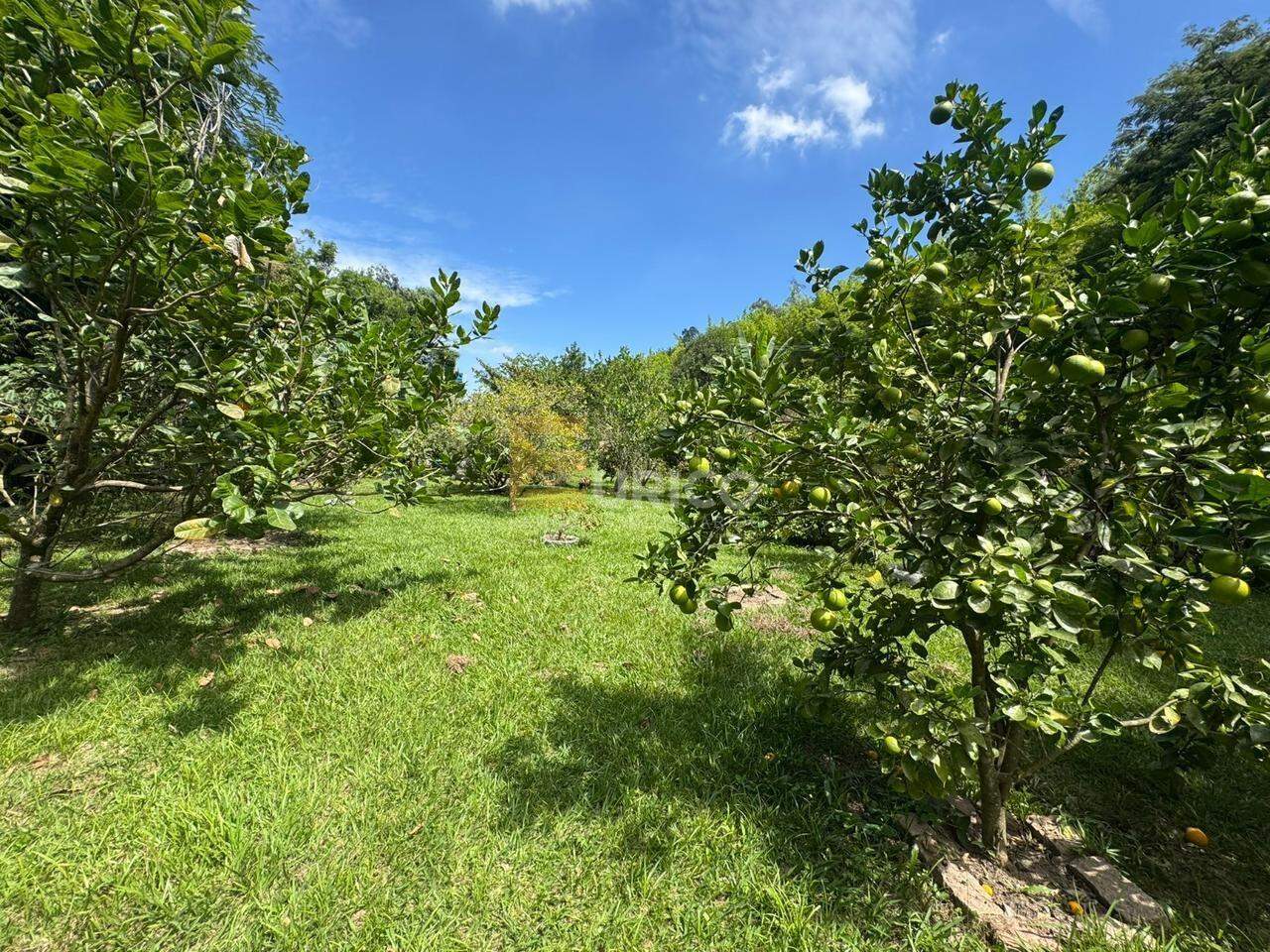 Chácara à venda no Parque São Luiz em Jundiaí/SP: 