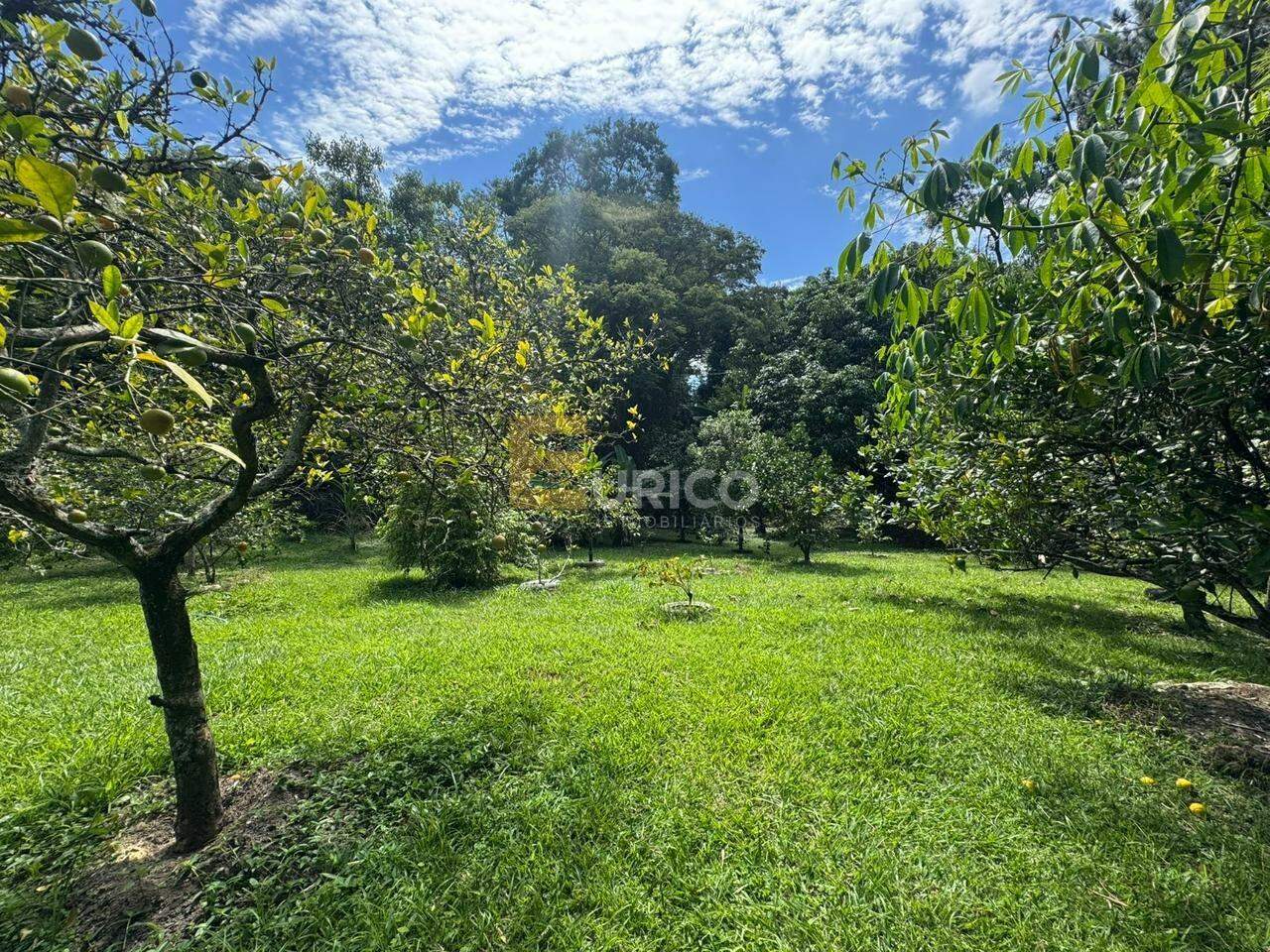 Chácara à venda no Parque São Luiz em Jundiaí/SP: 