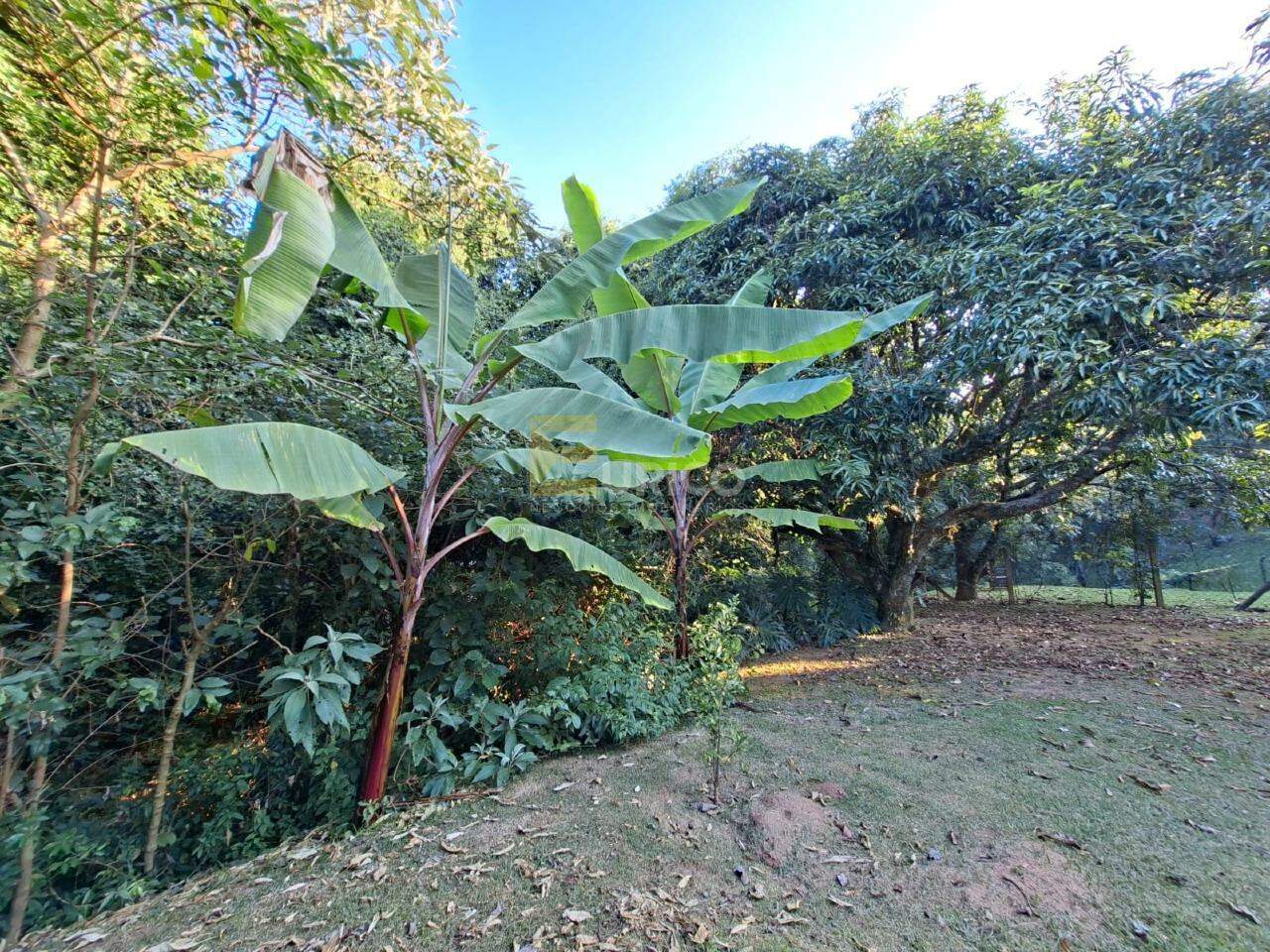 Terreno em Condomínio à venda no Caixa D´água em Vinhedo/SP: