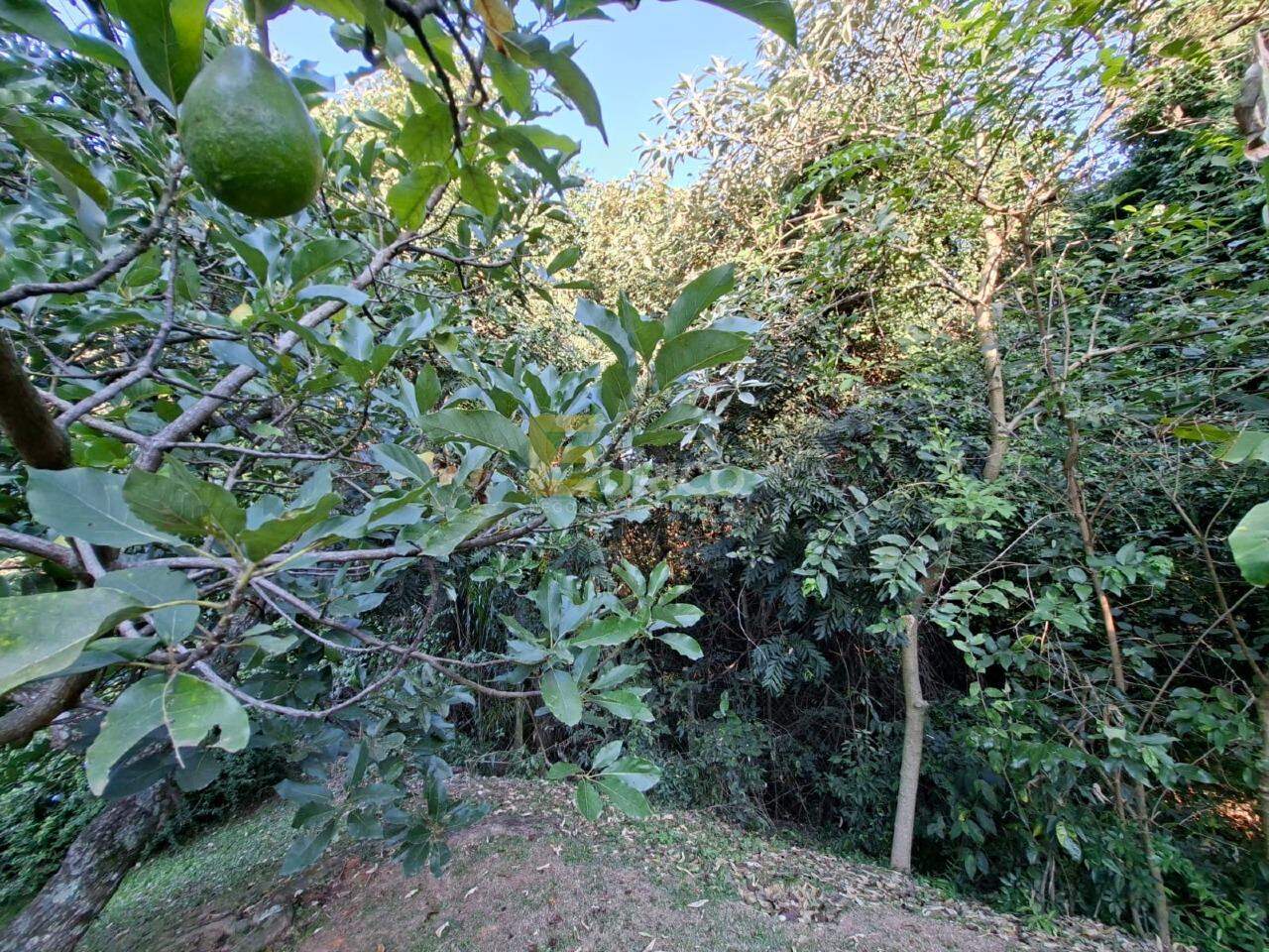 Terreno em Condomínio à venda no Caixa D´água em Vinhedo/SP: