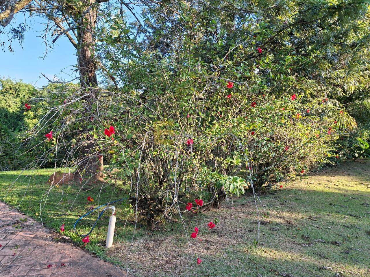 Terreno em Condomínio à venda no Caixa D´água em Vinhedo/SP: